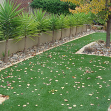 Artificial Grass 7mm, 20mm