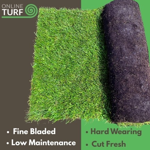Lawn turf seeded - lawn,