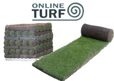 Lawn Turf - Seeded